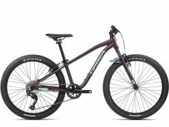 Orbea MX 24 Dirt