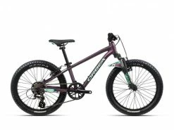 Orbea MX 20 XC